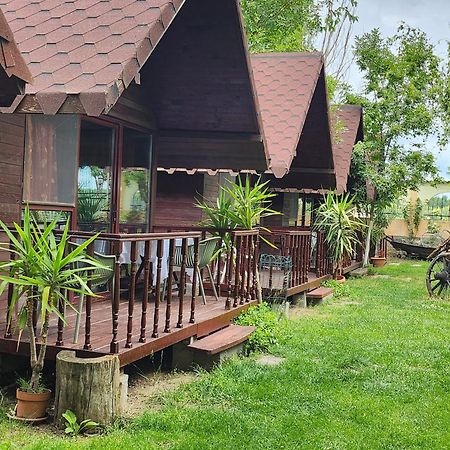 Pensiunea Delta D.M.Y. Mahmudia Exteriér fotografie